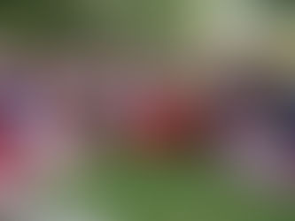 Reconoce SIPCIA liderazgo de oaxaqueñas en Encuentro de Mujeres Embajadoras del Patrimonio Inmaterial