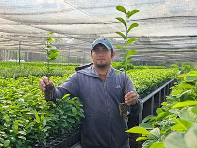 Vivero forestal de Tequisistlán, pilar de la reforestación en el Istmo de Tehuantepec