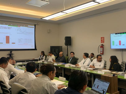 Oaxaca se sumará a la innovación con el Proyecto Wolbachia: SSO