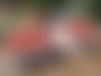 Cumple Gobierno del Estado con entrega de 2 aulas en primaria de Ciénega de Zimatlán