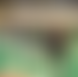 Inicia en Oaxaca Etapa Regional de Olimpiada Nacional Conade 2026