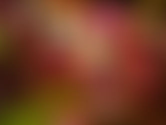 Invita Sectur Oaxaca a disfrutar las actividades con motivo de la 128 edición de la Noche de Rábanos