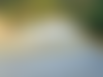 Entrega Primavera Oaxaqueña pavimentación de calle en Santa Catarina Juquila