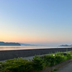 お客さまに魚釣りへ連れて行っていただきました！