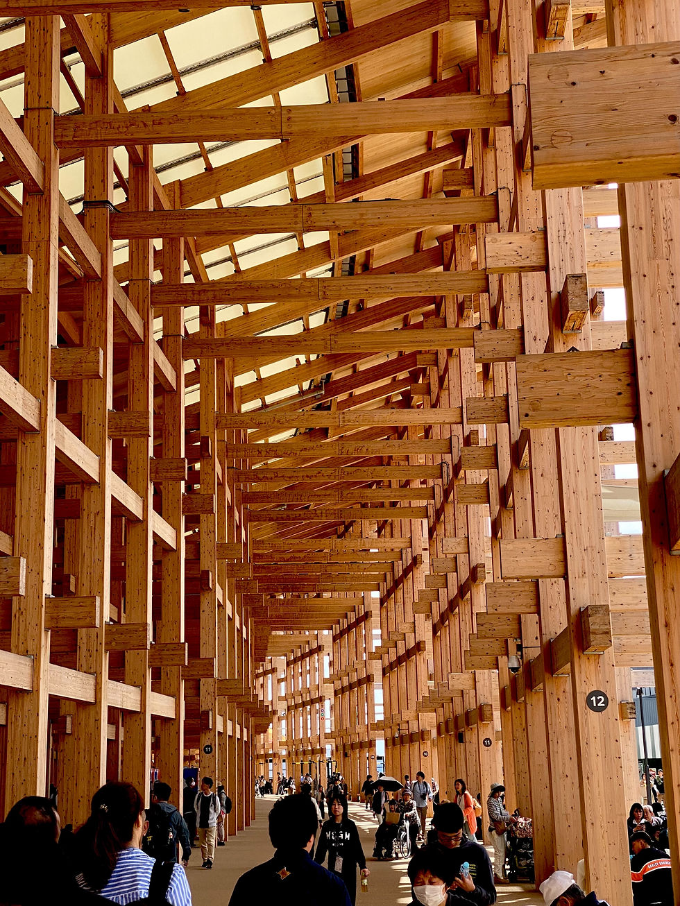 大屋根リングの下は涼しいです