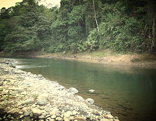 Gua turistica de santo domingo de los tsachilas
