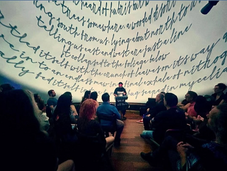 Misplaced Animal performance at Dome at notsuoH on June 4