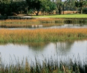 GolfCourse2_2007.gif