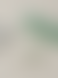 Polifarmácia: quando muitos remédios começam a atrapalhar (e como reduzir com segurança)