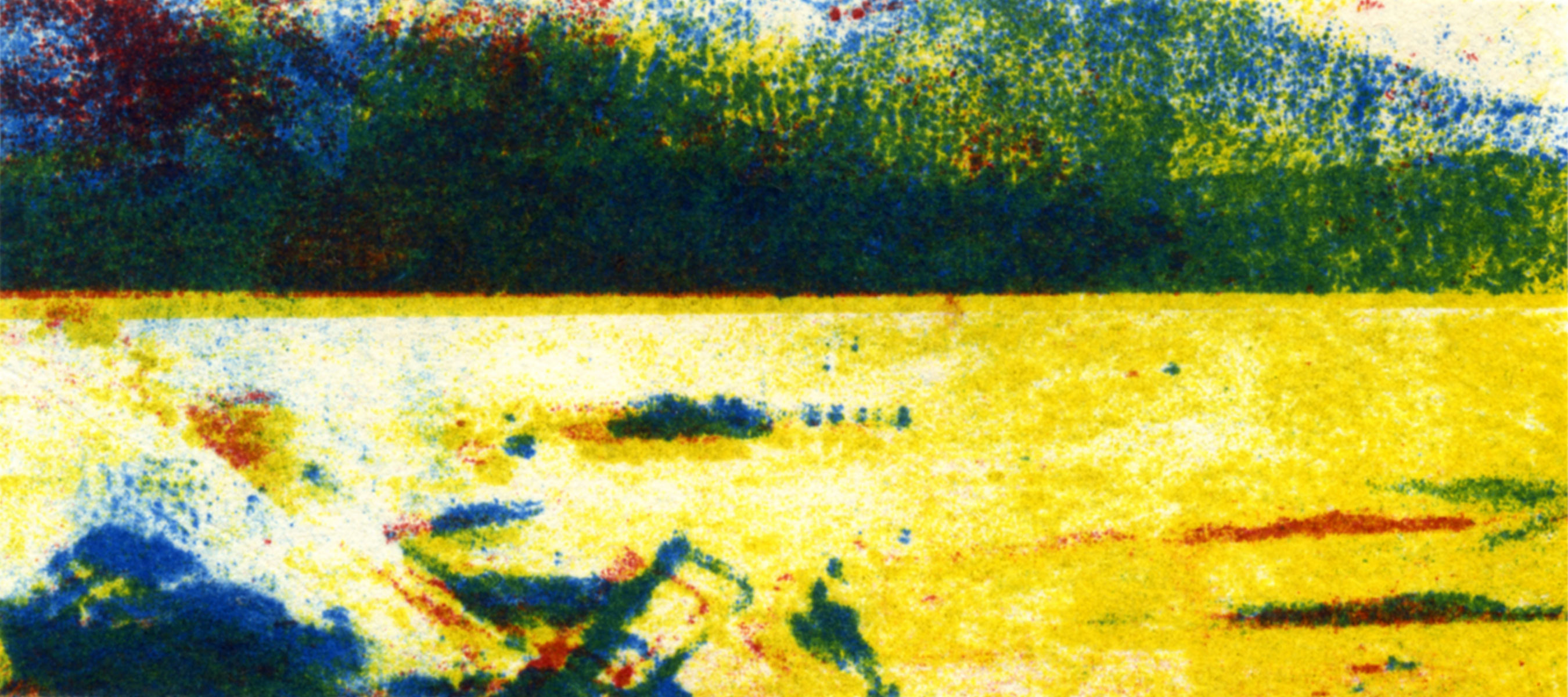 Naushon Dawn