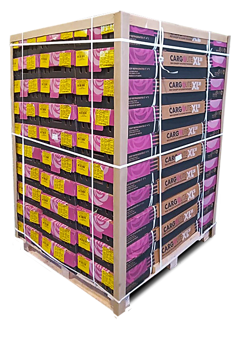 halfbox skid copy.png