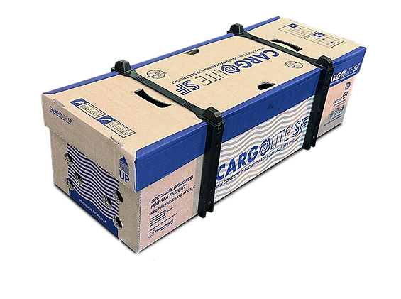 cargolite SF for sea freight of roses