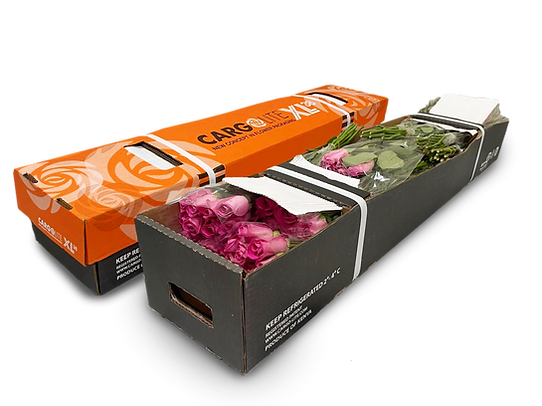 quarter linkedin copy.png