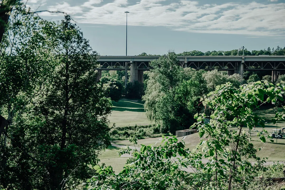 image 5.png