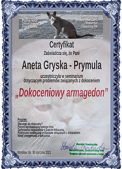 Aneta Gryska - Prymula (1)-1.png