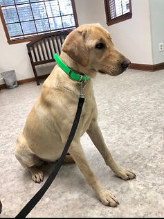 Annie Cedar Creeks Pistol Annie