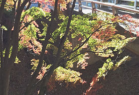 000251128_edited_edited.jpg