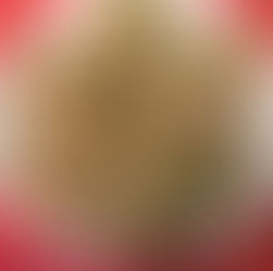 FAGIOLI E BRUSCHETTA