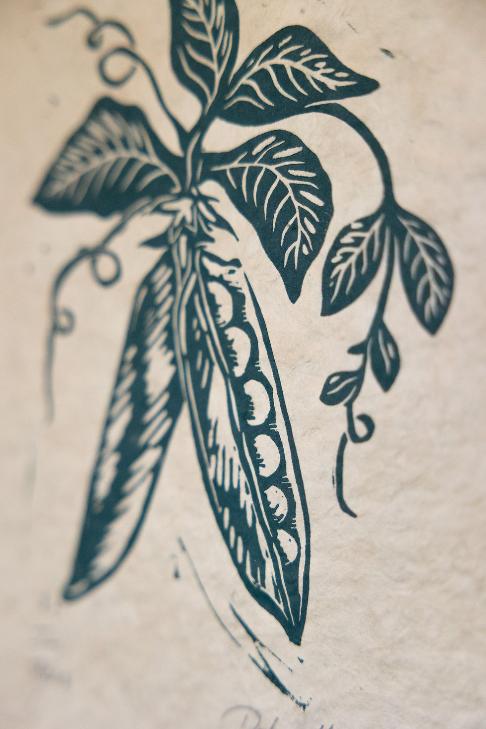 Thumbnail: Peas in a Pod - Original Relief Print