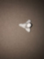 IMG_0496.jpeg