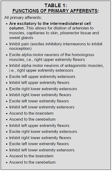 Functions of Primary Afferents.PNG