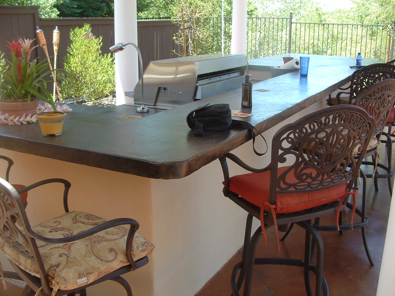 arneson 0628 (26).JPG