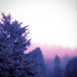 11933467_10100684026811984_3700872288135575167_n