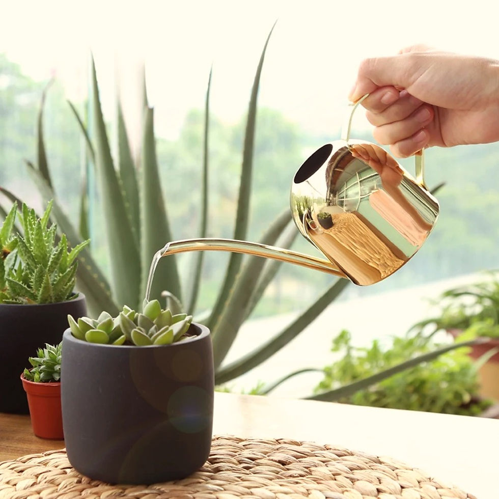 Thumbnail: long-spout-watering-can