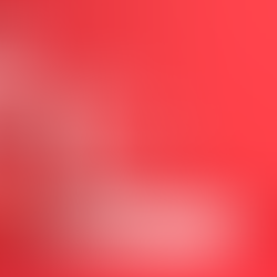 Singapore-themed red and white festive display.