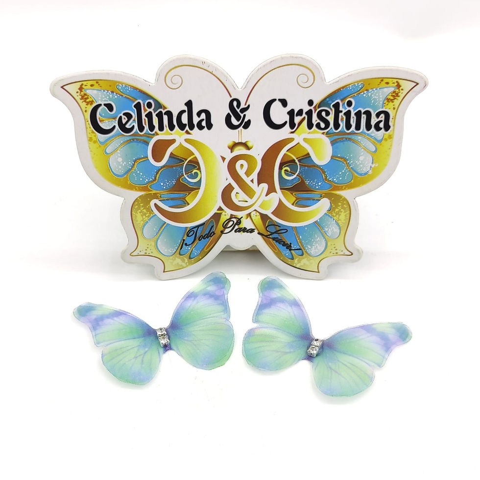 Miniatura: Mariposa doble c/ piedra 2PC