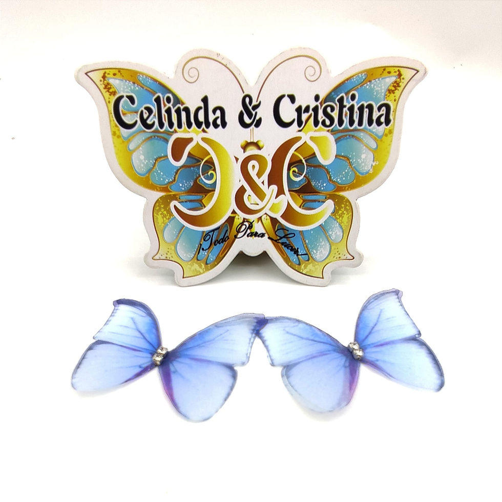 Miniatura: Mariposa doble c/ piedra 2PC