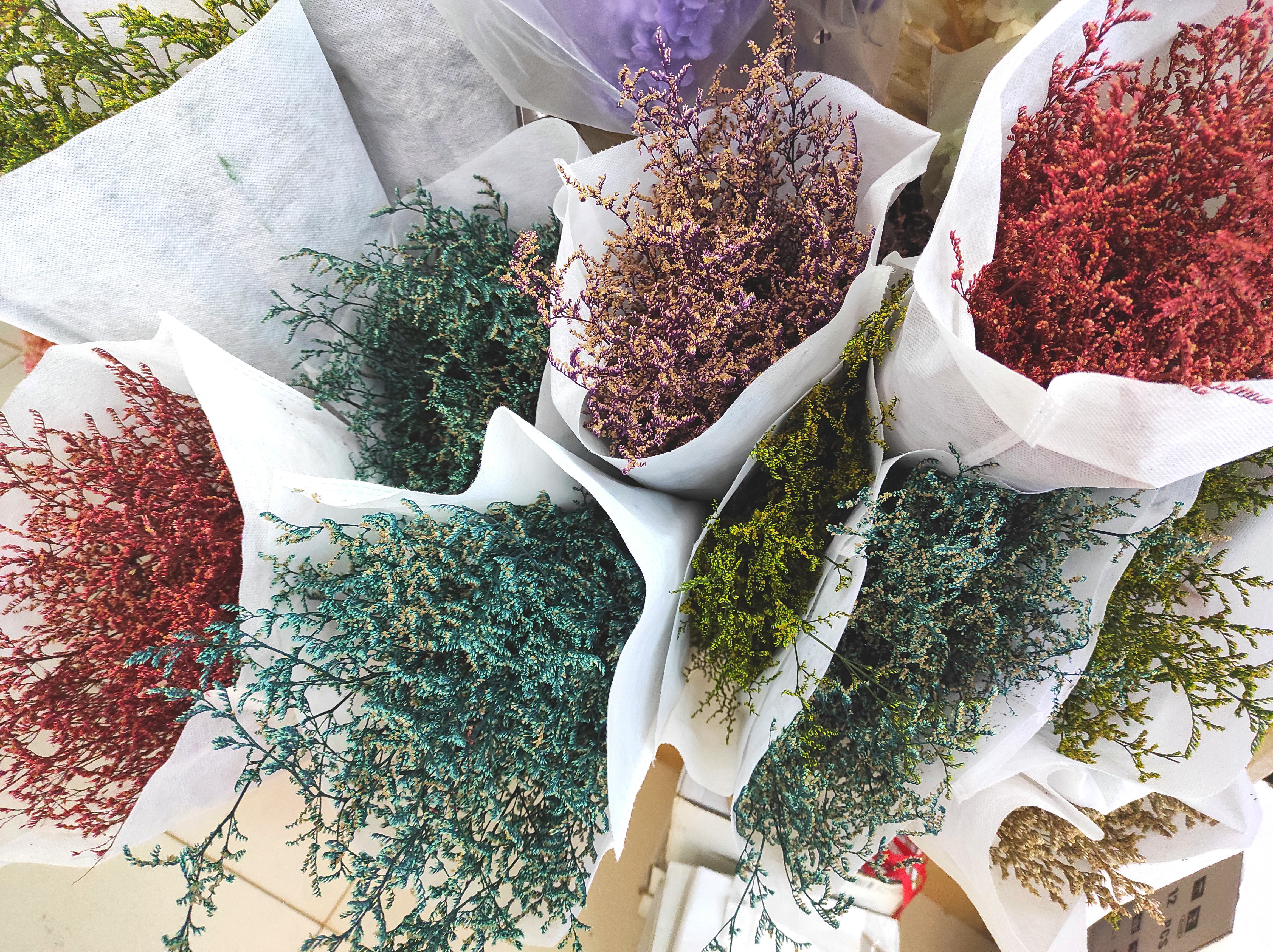 Hierba de los enamorados