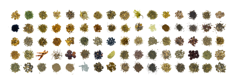 herbal_display.png