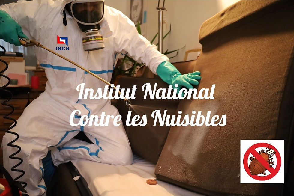 Un technicien de INCN qui applique un traitement chimique anti punaise de lit dans un appartement à Paris