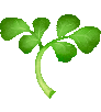 WATERCRESS_IDLE.gif