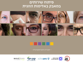 האתגרים שמיפתה הועדה הבין משרדית למניעת אלימות במשפחה (בראשות משרד הרווחה)