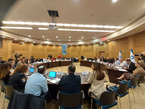 דו"ח מבקר המדינה: ההתמודדות עם תופעת האלימות בין בני זוג - ביקורת מעקב