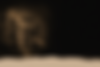 Gamboshi Web Banner.png