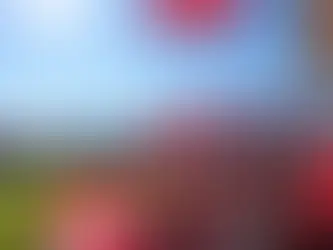 The Case for Lifting the Sporting Embargo on Northern Cyprus