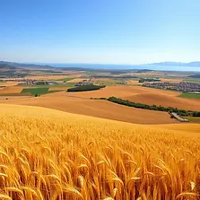 Mesarya Plain in North Cyprus with agricultural fields and Kyrenia Mountains in the background.