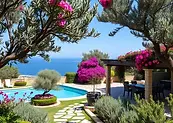 Mediterranean garden at a North Cyprus villa with olive trees, bougainvillea and colourful flowering plants.