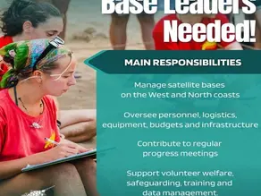Base Leaders Needed for Turtle Concervation Project