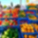 Fruit & Vegetable Prices in Northern Cyprus — Latest Trends & 2025 Update