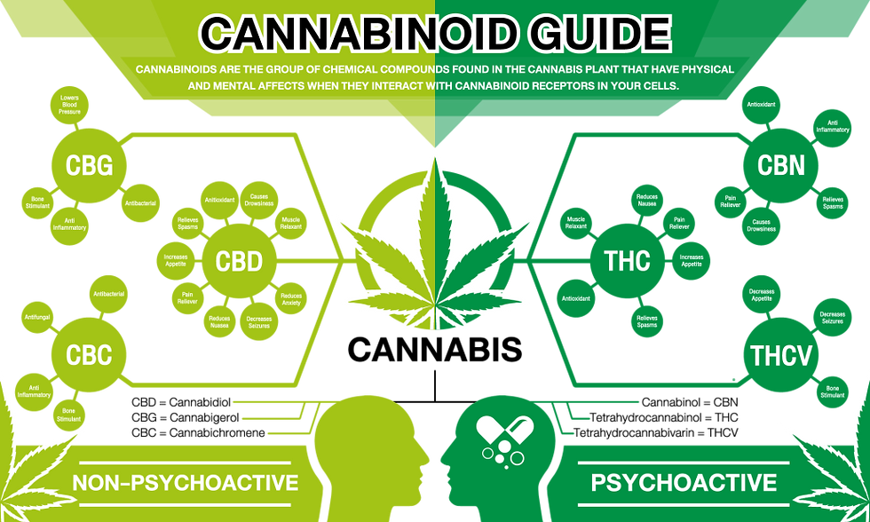 cannabinoids-1030x618.png