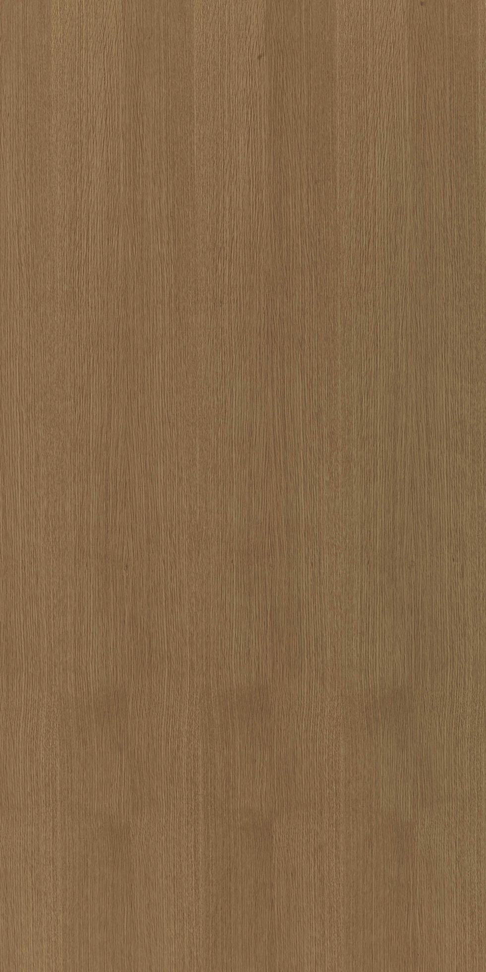 ภาพขนาดย่อ: F-04 White Oak