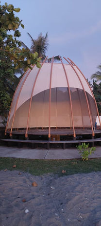 Novus Jiva