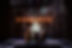 Spring Awakening 11.jpg