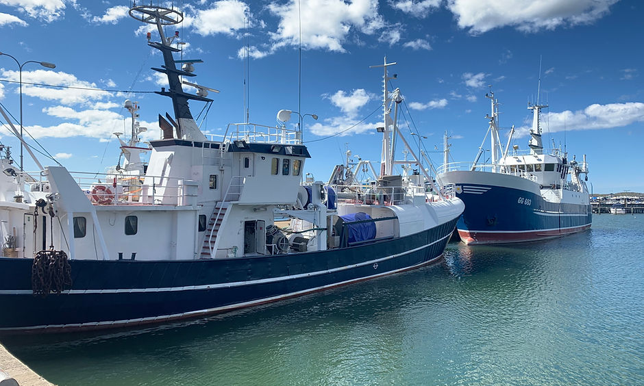 Fiskebåtar_i_Fiskebäck.jpg