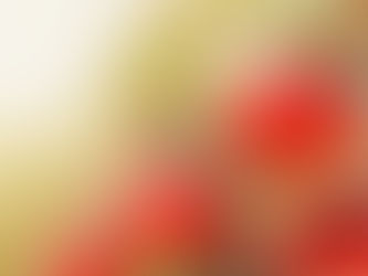 The 2025 Global Spring Festival Cultural Submission Contest