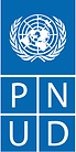 Logo_pnud.png